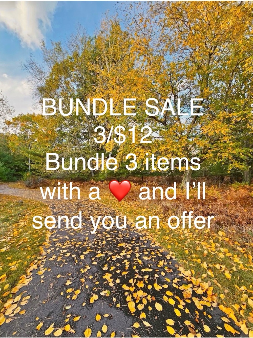 โค๏ธ BUNDLE SALE 3/$12 โค๏ธ